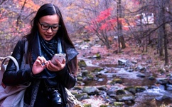 午夜福利试看120秒体验区